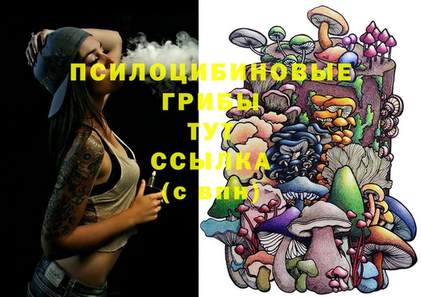 каннабис Аркадак