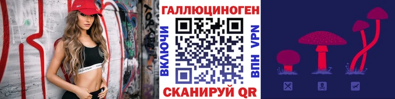 где купить наркотик Великие Луки Галлюциногенные грибы MAGIC MUSHROOMS