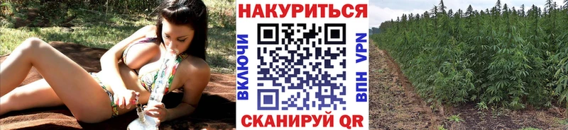 OMG ссылки  Великие Луки  Шишки марихуана марихуана 